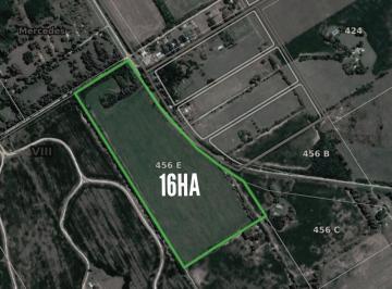 Campo · 160000m² · Campo en Venta - 16ha - Goldney