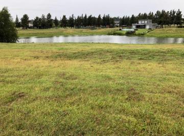 Terreno · 980m² · Terreno en Venta - 980 m² - El Cazal, Escobar