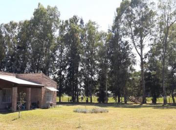 Terreno · 562m² · Terreno en Venta - 51768 m² - Mercedes