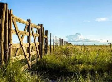 Campo · 200m² · 3 Ambientes · Campo en Venta - Casa - 248ha - Cañuelas