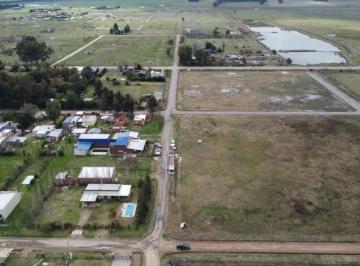 Campo · 14400m² · Campo en Venta - 14.400 m² - Uribelarrea, Cañuelas