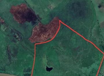 Campo · 1080000m² · Campo en Venta - 108 Hectáreas - Isla de Zárate