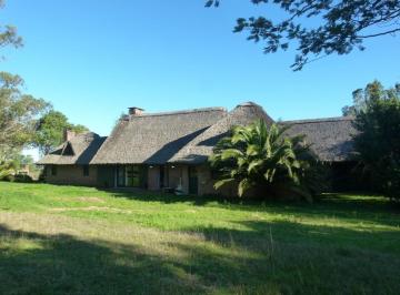 Chacra en venta próximo a zona de La Pataia, Punta Ballena. - Foto1 · Chacra en Venta Próximo a Zona de La Pataia, Punta Ballena.