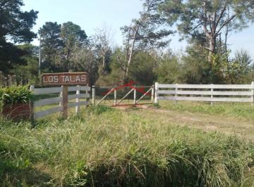 Campo · 40000m² · Campo en Etcheverry