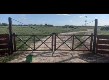 Terreno · 42000m² · Venta Lote Chacra - Estancia Benquerencia, Monte