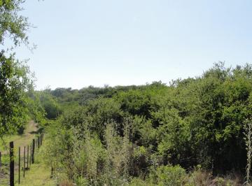 Terreno · 10653m² · Hectarea en La Granja, a m de Ruta E53