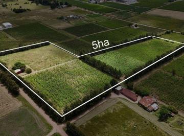 Terreno · 160m² · Vendo Casa Chacra Campo Terreno Cuchilla Pereira