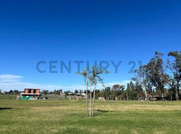 Terreno · 525m² · Venta de Lote Interno, Barrio Santa Sofía, Pilar del Este.
