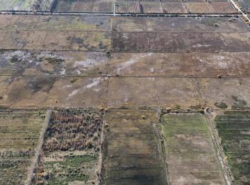 Campo · 750000m² · 75 Has Cervantes - Rio Negro
