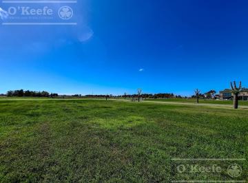 Terreno · 1308m² · Lote en Venta en Etapa I con Posesion Inmediata en Puerto Nizuc - Guillermo Hudson