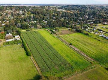 Terreno · 36249m² · Venta 3 Hectáreas en Sierra de Los Padres
