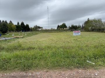 Terreno · En Chascomus Lote en Venta
