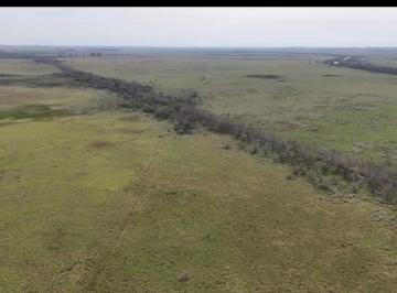 Campo · 10000000m² · 1000 Ha Ganaderas Sobre Ruta
