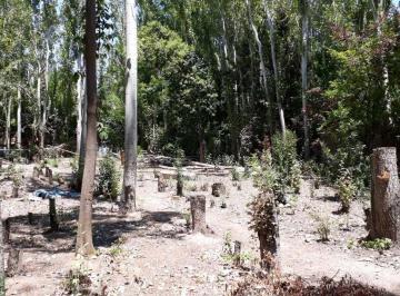 Terreno · 909m² · Venta de Terreno en Calle Larrea - Chacras de Coria, Luján, Mza