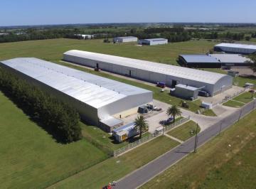 Terreno · 48800m² · Terreno Industrial en Venta - Parque Industrial Campana