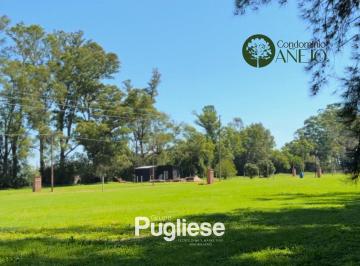 Terreno · 720m² · Terreno en Venta Mariano Acosta