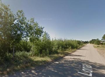 Terreno · 7800m² · Terreno en Venta - 7.800 m² - Ostende