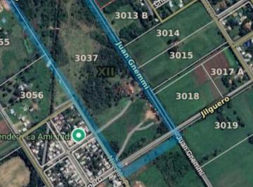 Campo · 148740m² · Campo en Escobar