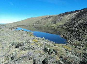 Campo · 270m² · 13 Ambientes · Campo en Venta - 10.040 Has - Calafate