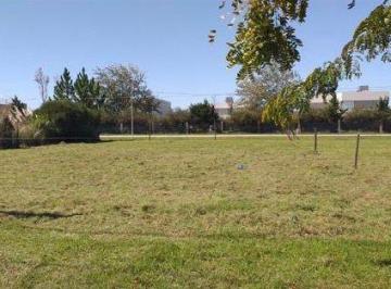 Terreno · 601m² · Venta: Terreno de 601,54 m² en Tierra de Sueños 2, Roldán