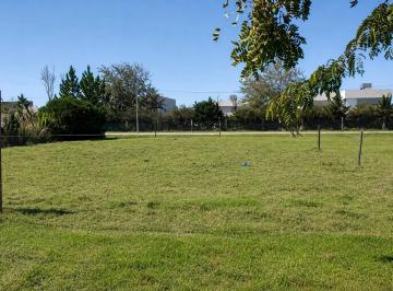 Terreno · 601m² · Venta: Terreno de 601,54 m² en Tierra de Sueños 2, Roldán