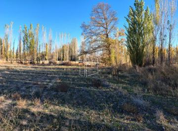 Terreno · 10000m² · Venta - Dos Hectáreas Cerca del Río - General Roca - T094