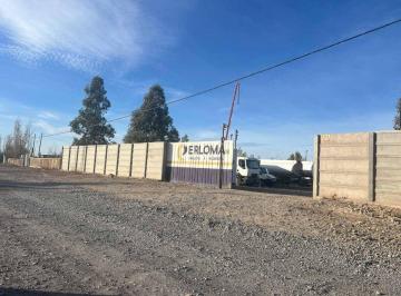 Bodega-Galpón · 250m² · Alquiler Galpon Industrial