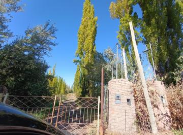 Campo · 104m² · 6 Ambientes · Chacra 3 Héctareas en Cipolletti con Casa y Departamentos