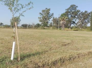 ESQUINA · Venta de Lote en B° La Florida (Ex La Quinta), Leones Marcos Juarez