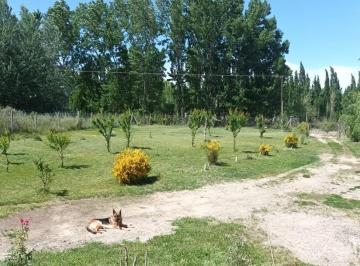 Campo de 1 ambiente, Las Perlas · Casa en Balsa Las Perlas