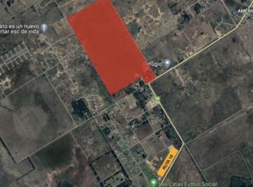 Campo , Presidente Perón · Campo/fraccion de 56 Hectáreas en Venta Sobre La Ruta 16. Canning - San Vicente