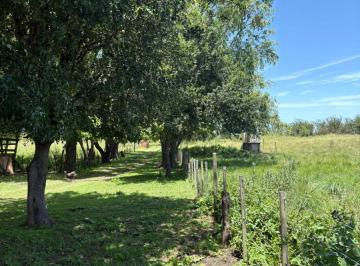 Campo · 22m² · 4 Ambientes · Chacra en Venta 22 Has Gral. Madariaga