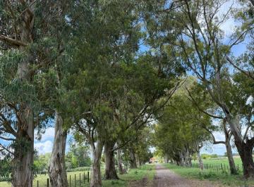 Campo · 25m² · 4 Ambientes · Chacra en Venta 25 Has Gral. Madariaga