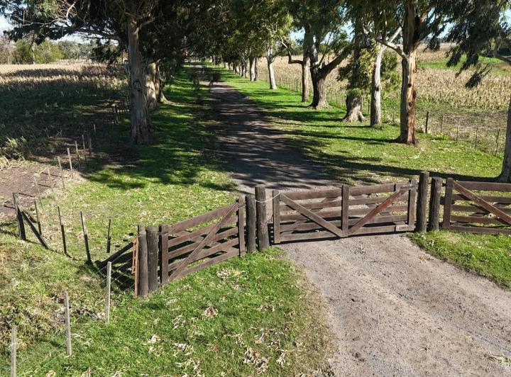 Campo · 25m² · 4 Ambientes
