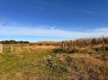 Campo · 108m² · Campo en Venta 108 Has Gral. Madariaga
