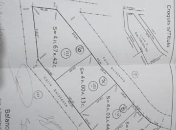 Campo · 160000m² · Quinta - General Madariaga