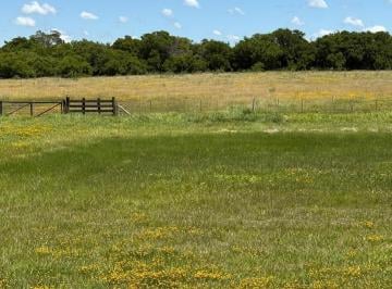 Campo · 6m² · Chacra en Venta 6 Has Gral. Madariaga