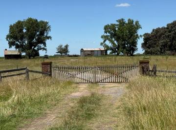 Campo · 130m² · 3 Ambientes · Campo - Ayacucho