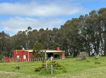 Campo · 300m² · 3 Ambientes · Campo - Dolores