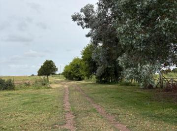 Campo · 8280000m² · Campo - General Madariaga