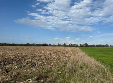 Campo · 82m² · Campo Papero en Venta 82 Has Miramar