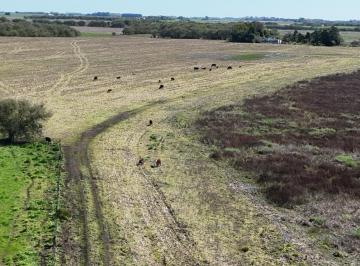 Campo · 32m² · 3 Ambientes · Campo - General Madariaga