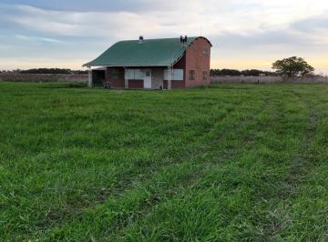Campo · 150m² · Chacra en Venta. General Madariaga.
