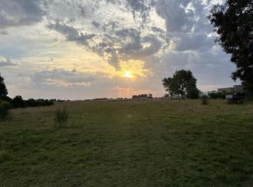 Campo · 10000m² · Venta Chacra, 1 Ha General Madariaga.