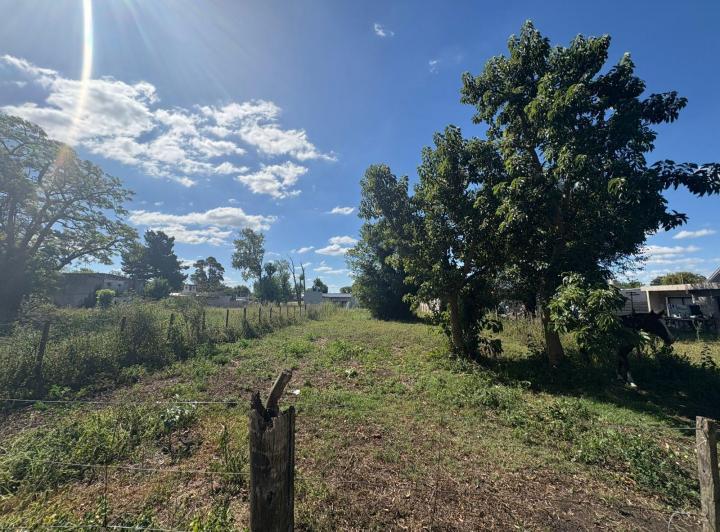 Terreno · 504m²