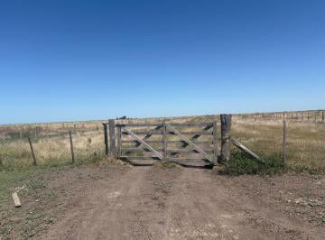 Campo · 550m² · Campo en Venta, General Lavalle.
