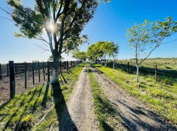 Campo · 45m² · Campo en Venta, General Madariaga.