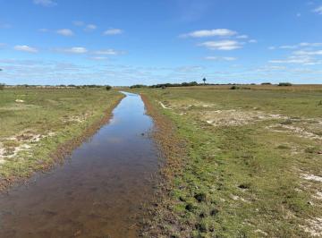 Campo · 37m² · Campo en Venta, 37 Has, Gral Madariaga.
