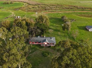 Campo · 300m² · Campo en Venta, Gral. Madariaga, 500 Ha