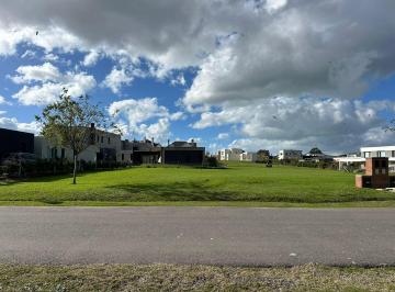 Terreno , Mar del Plata · Lote en Venta - Rumenco Joven